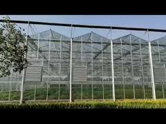Serre chaude en verre