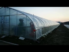 Poly serre chaude de tunnel