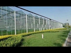 Serre en verre pour l'agriculture