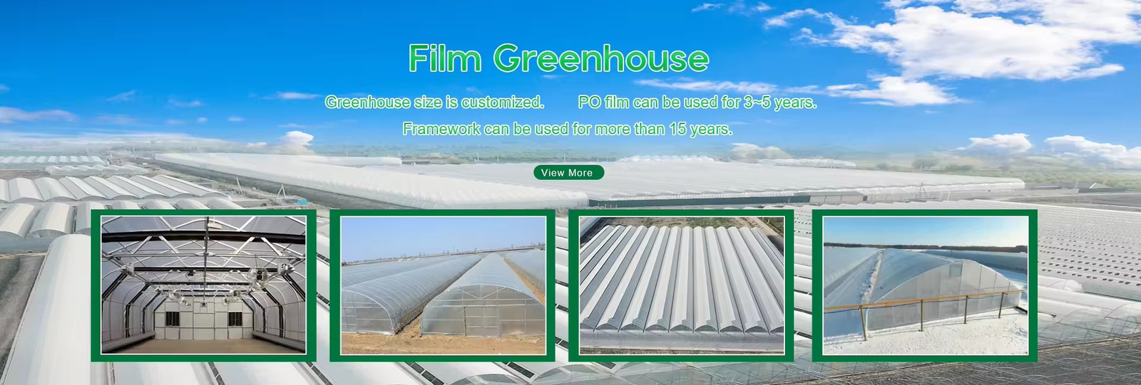 Serre en verre pour l'agriculture