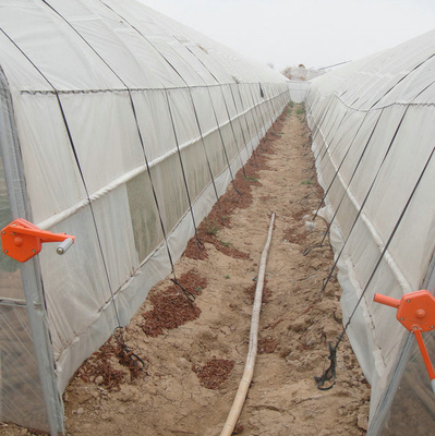 9x30m Plastic Tunnel Greenhouse Covered Plastic Film For Vegetable Growing