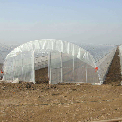 9x30m Plastic Tunnel Greenhouse Covered Plastic Film For Vegetable Growing