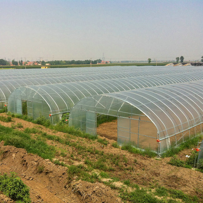 9x30m Plastic Tunnel Greenhouse Covered Plastic Film For Vegetable Growing