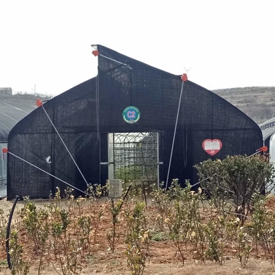 10m double framework mushroom greenhouse with black shade net and shelves outdoor