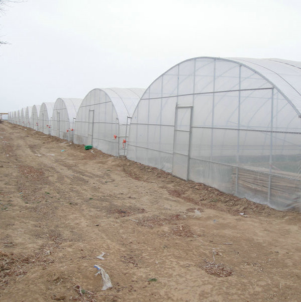 9x30m Plastic Tunnel Greenhouse Covered Plastic Film For Vegetable Growing